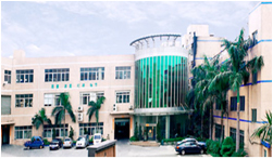 2000年，自建工業(yè)園區投入使用。同年投入鋁、鋅合金壓鑄項目。